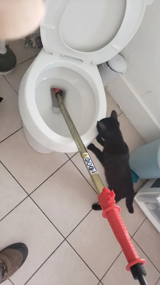 Professional water heater service in Oakland, CA by Thumbs Up Rooter And Plumbing