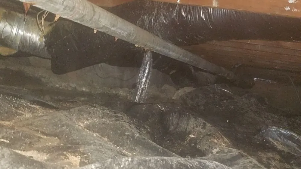 Slide of Thumbs Up Rooter And Plumbing