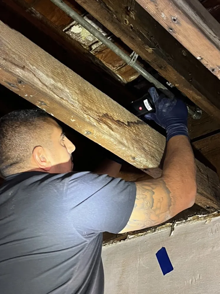 Affordable drain cleaning experts serving San Fernando Valley, CA - Tic Tok Plumbing