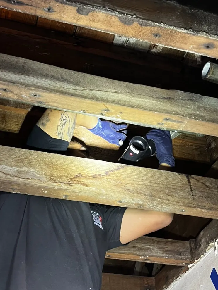 Emergency leak detection service in San Fernando Valley, CA - Tic Tok Plumbing