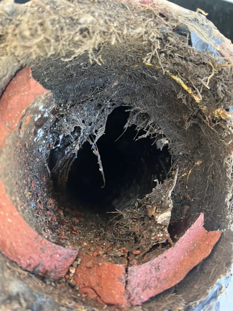 Expert plumbing repair service in San Fernando Valley, CA - Tic Tok Plumbing