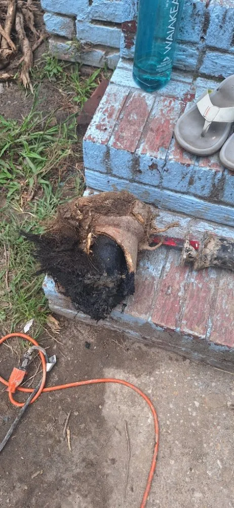 Slide of Tidal Drain Cleaning & Handyman Services