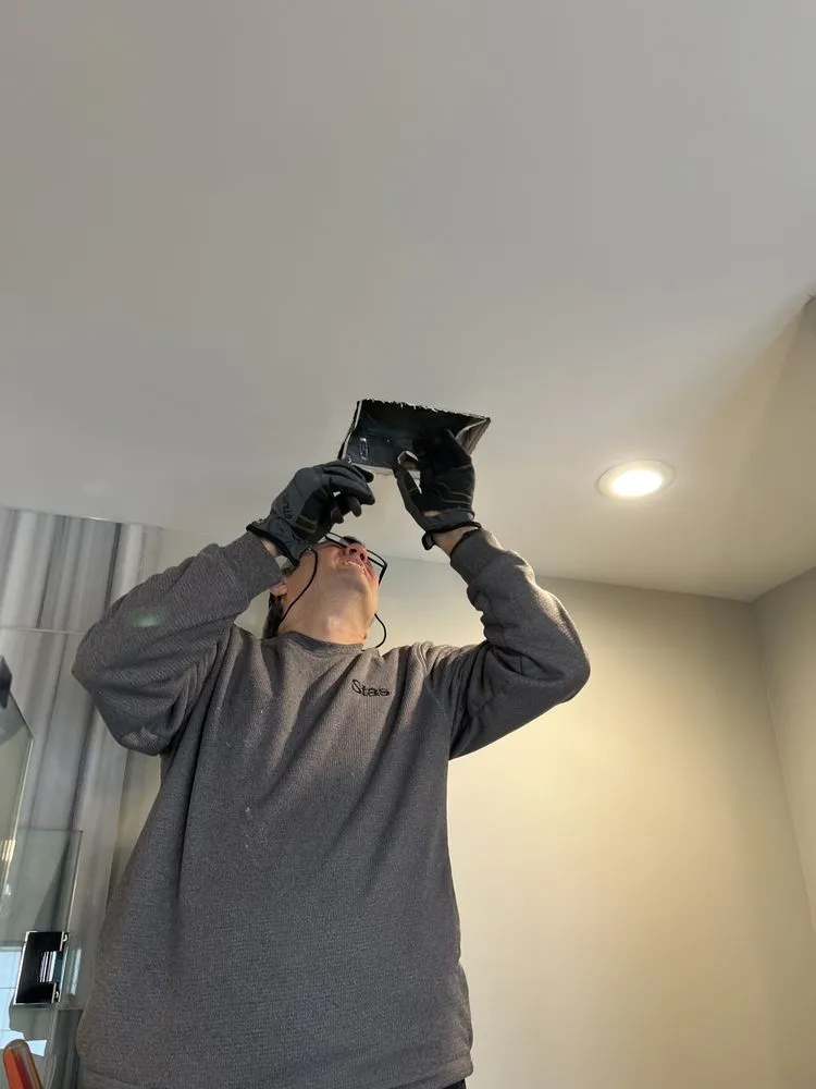 Slide of Tidy Handyman