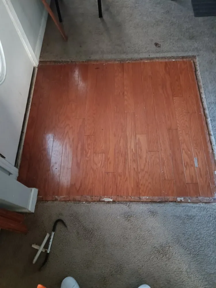 Slide of Tidy Quarters