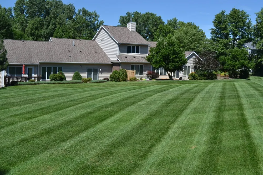 Top-rated pipe repair in Greenwood, SC by Tidy Yards $ Home Improvement