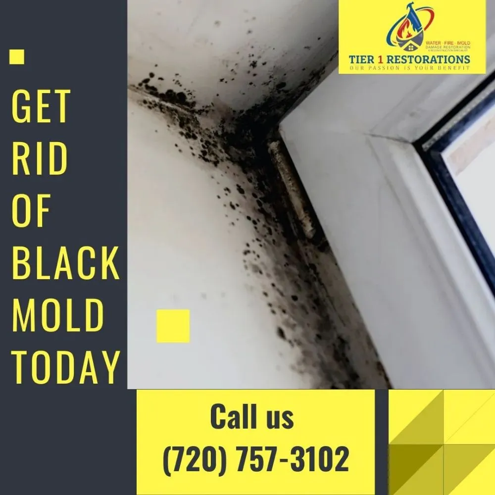 Slide of Tier 1 Restorations