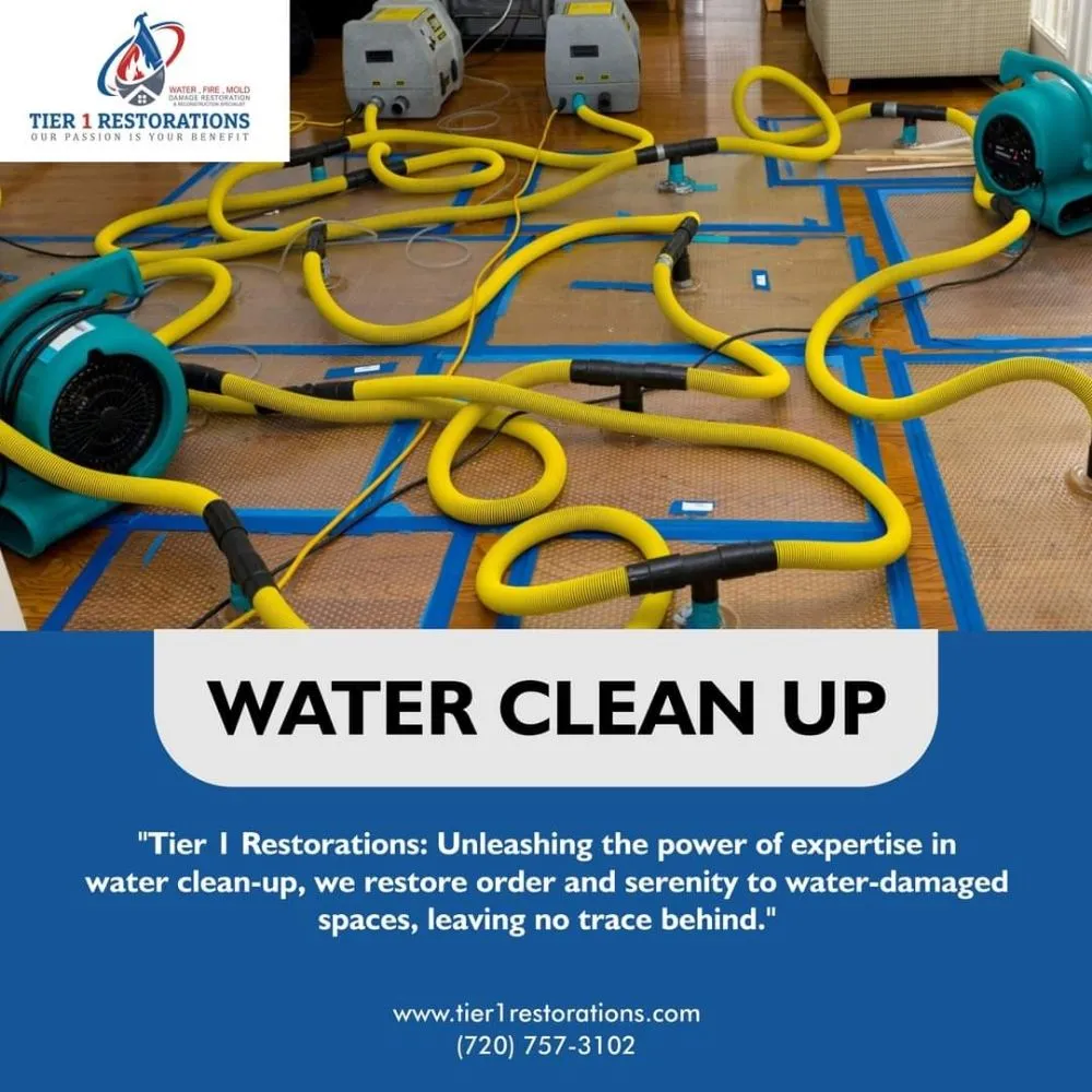 Slide of Tier 1 Restorations