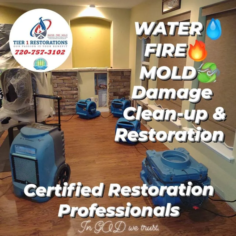 Slide of Tier 1 Restorations