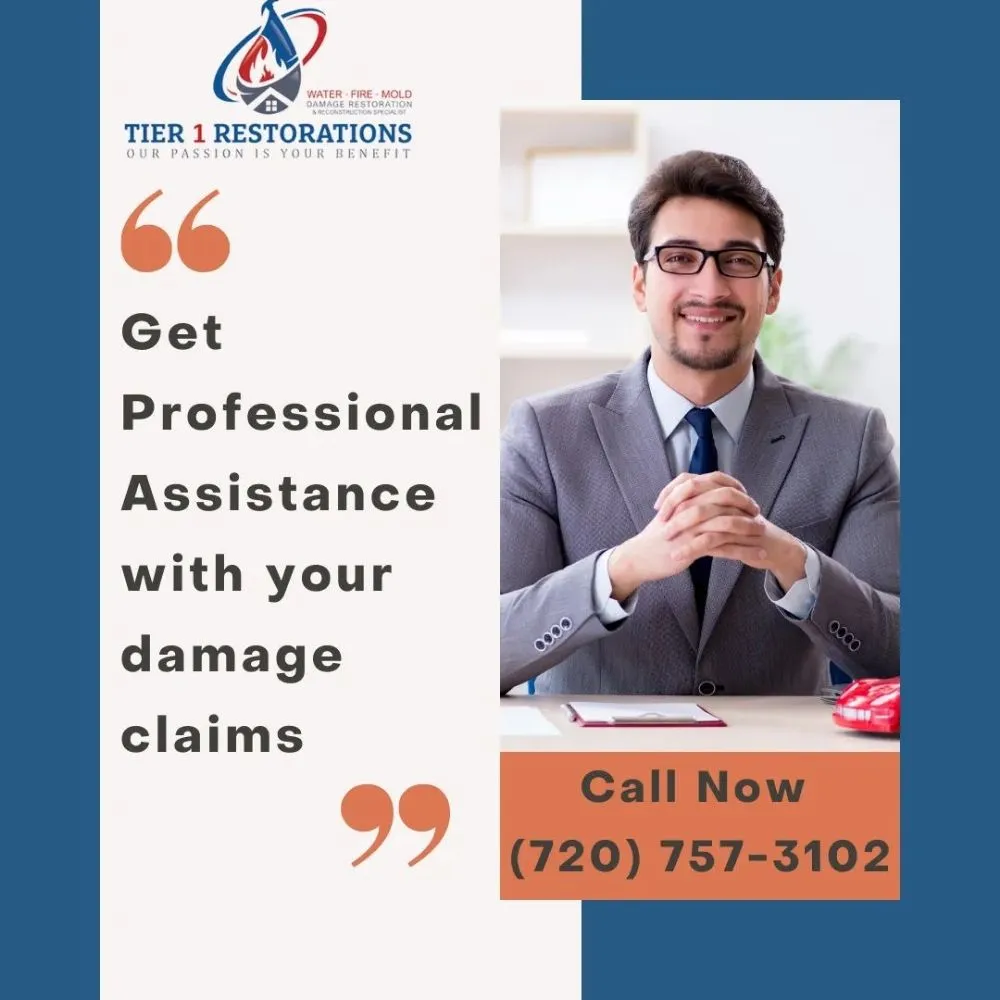 Slide of Tier 1 Restorations