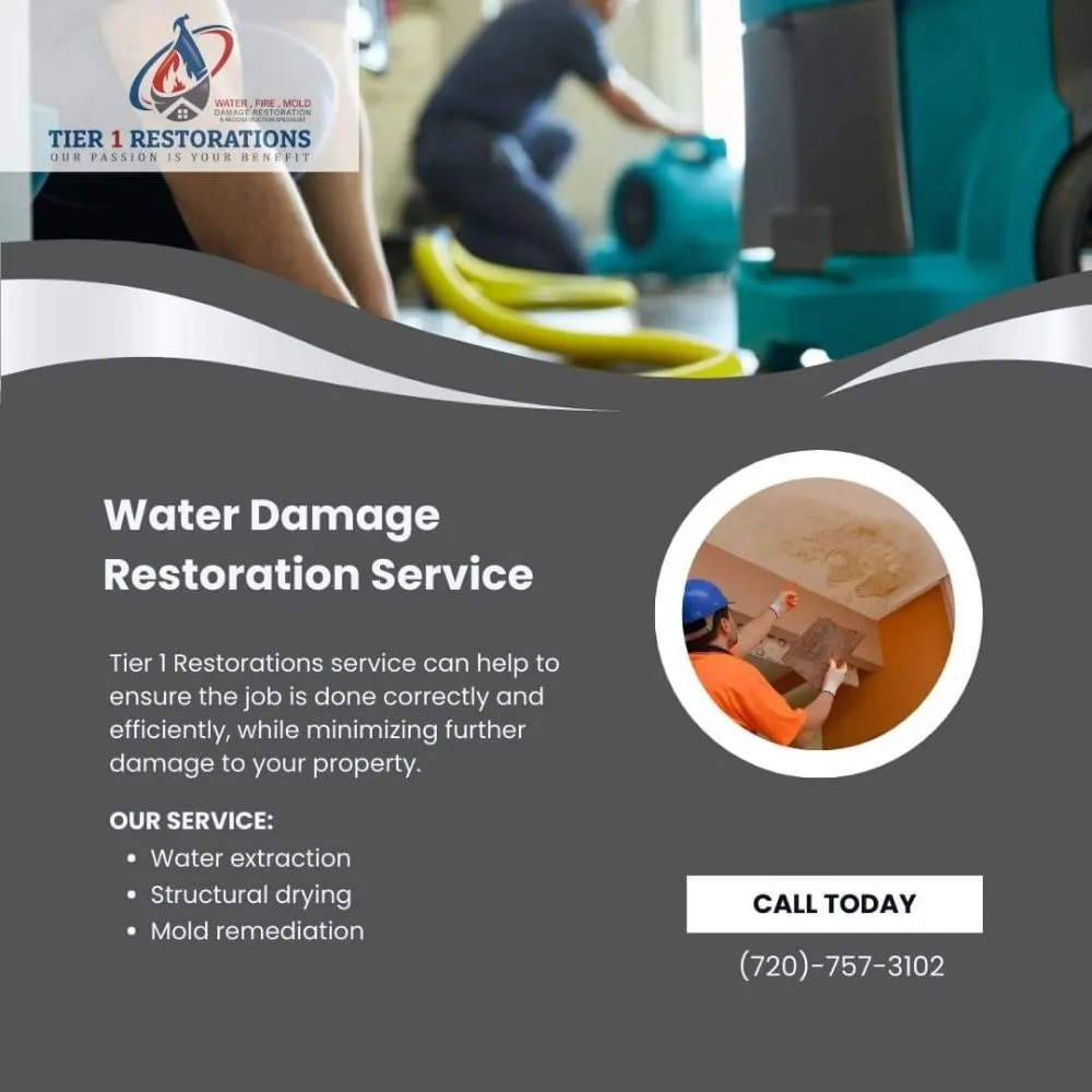 Slide of Tier 1 Restorations