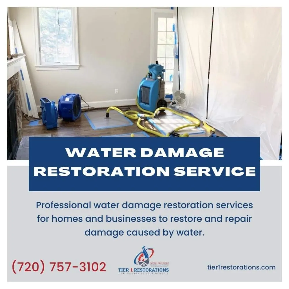 Slide of Tier 1 Restorations