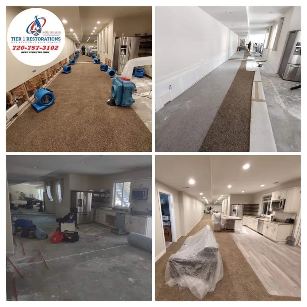 Slide of Tier 1 Restorations