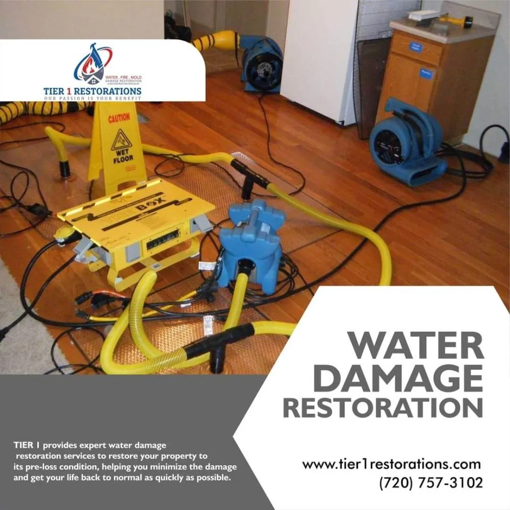 Slide of Tier 1 Restorations