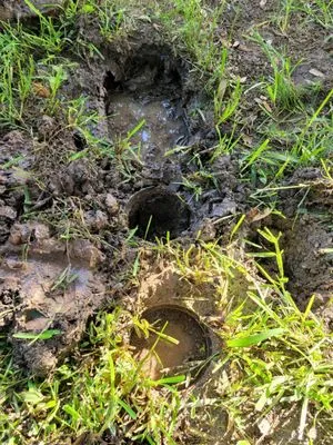 Tietze Plumbing Logo