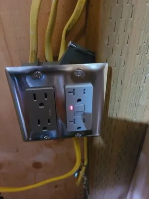 Tiger Handyman Services Logo