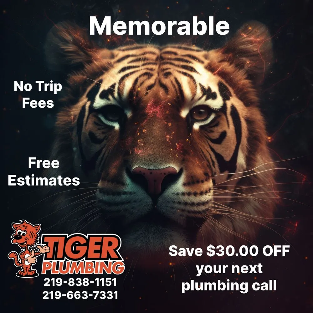 Slide of Tiger Plumbing