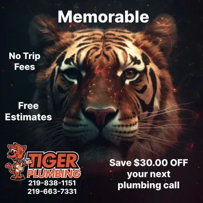 Tiger Plumbing