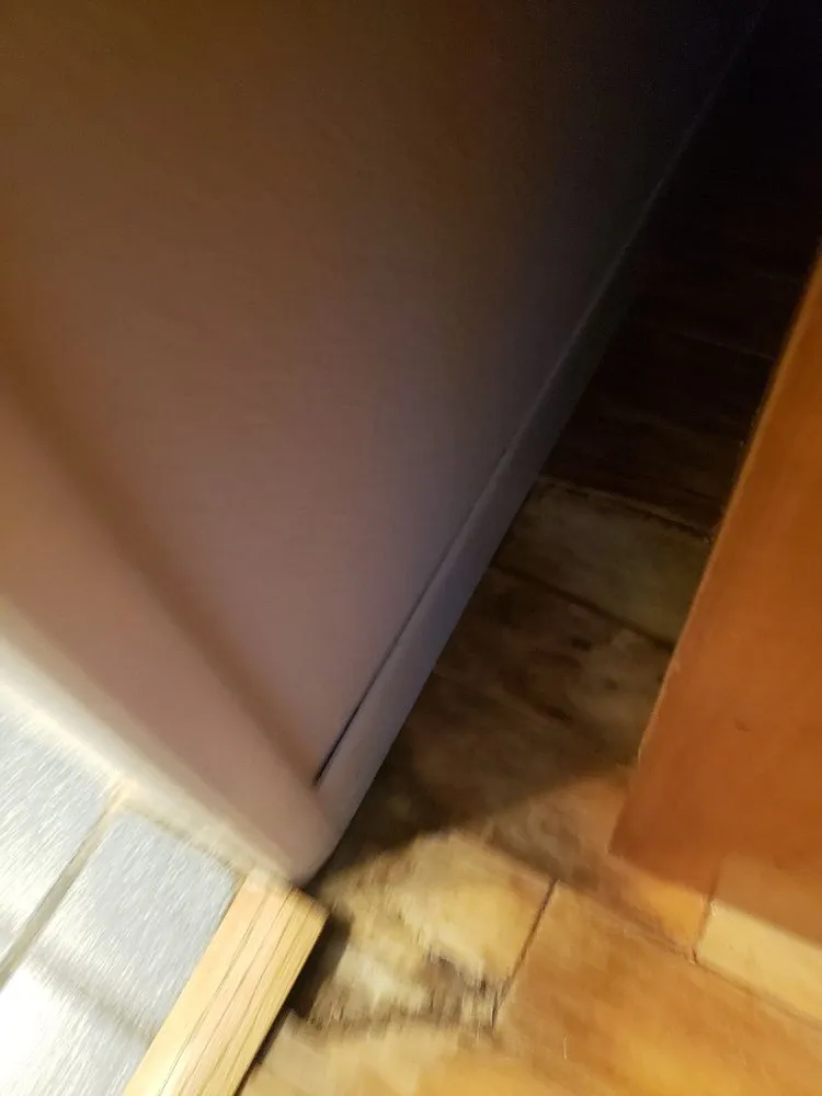 Slide of Tiger Plumbing