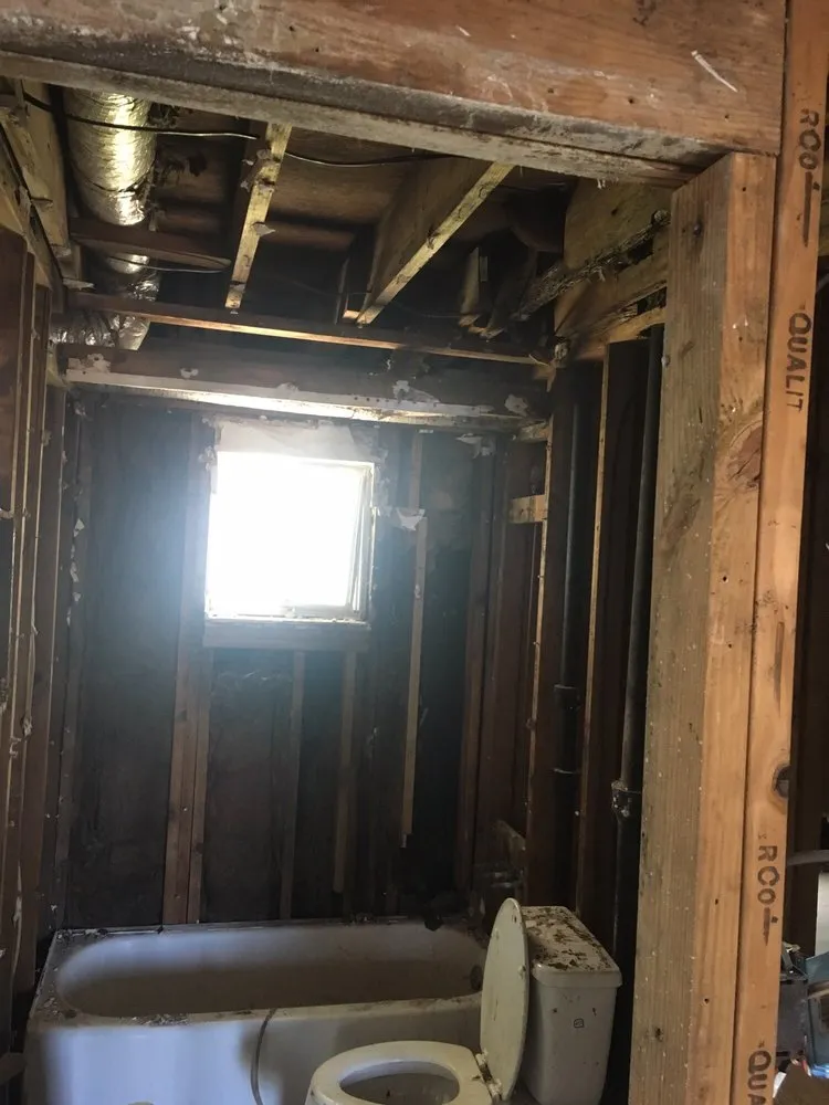 Slide of Tigers Inside & Out Home Maintenance