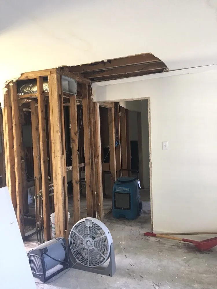 Slide of Tigers Inside & Out Home Maintenance