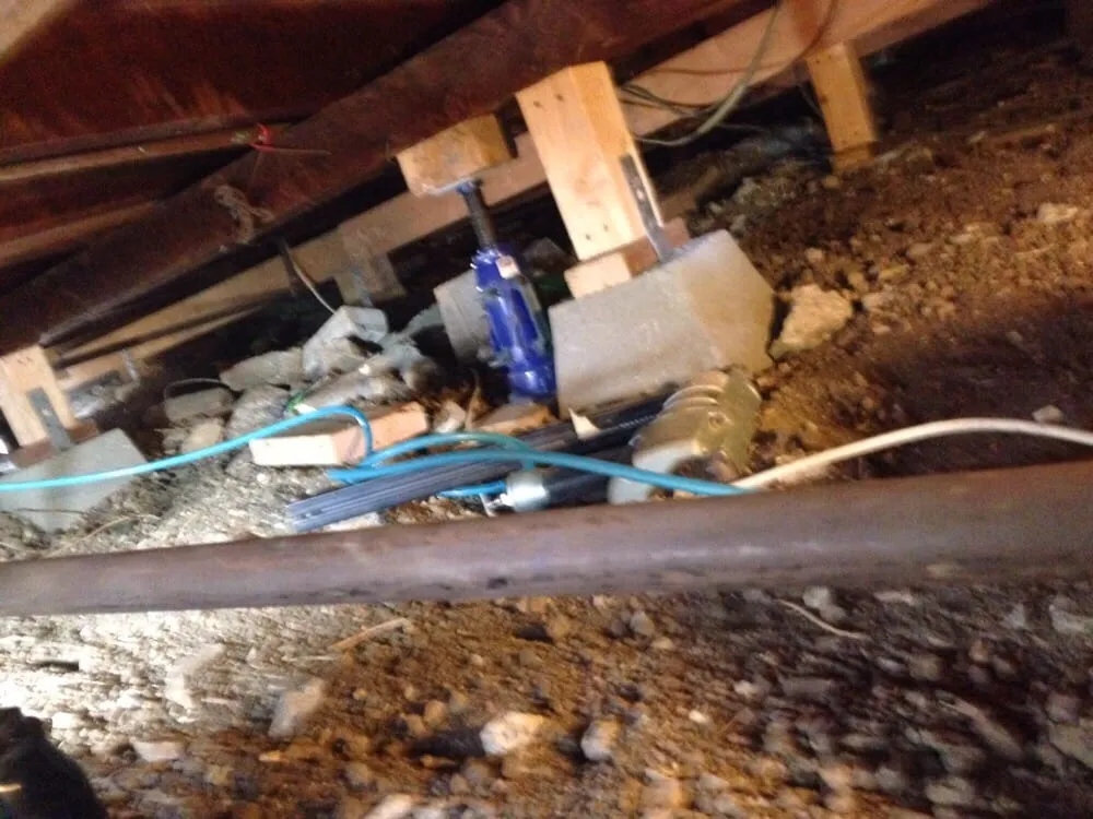 Slide of Tim The Handyman