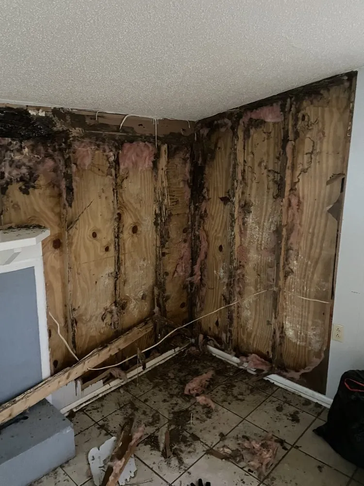 Slide of Timber Touch Creations