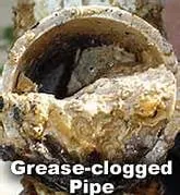 Slide of Timber Wolff's Plumbing