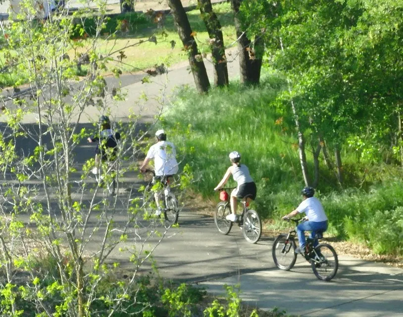 Slide of Timmon's Plumbing