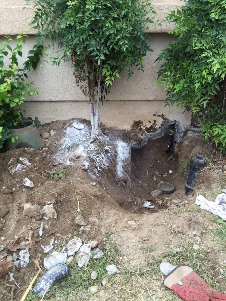 Affordable leak detection in Torrance, CA by Tim's Plumbing & Rooter