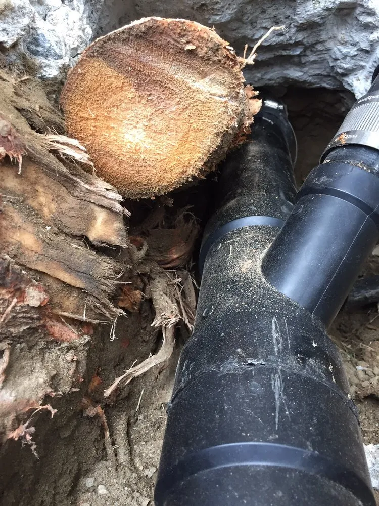 Slide of Tim's Plumbing & Rooter