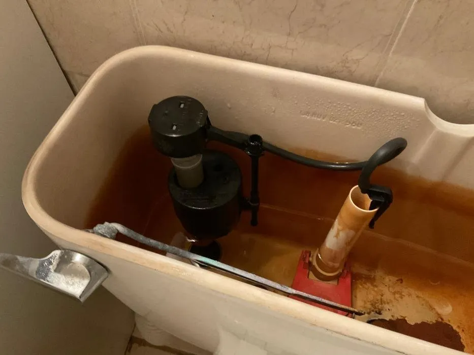 Affordable pipe repair in Pembroke Pines, FL by Tip Top Plumbing & Restoration