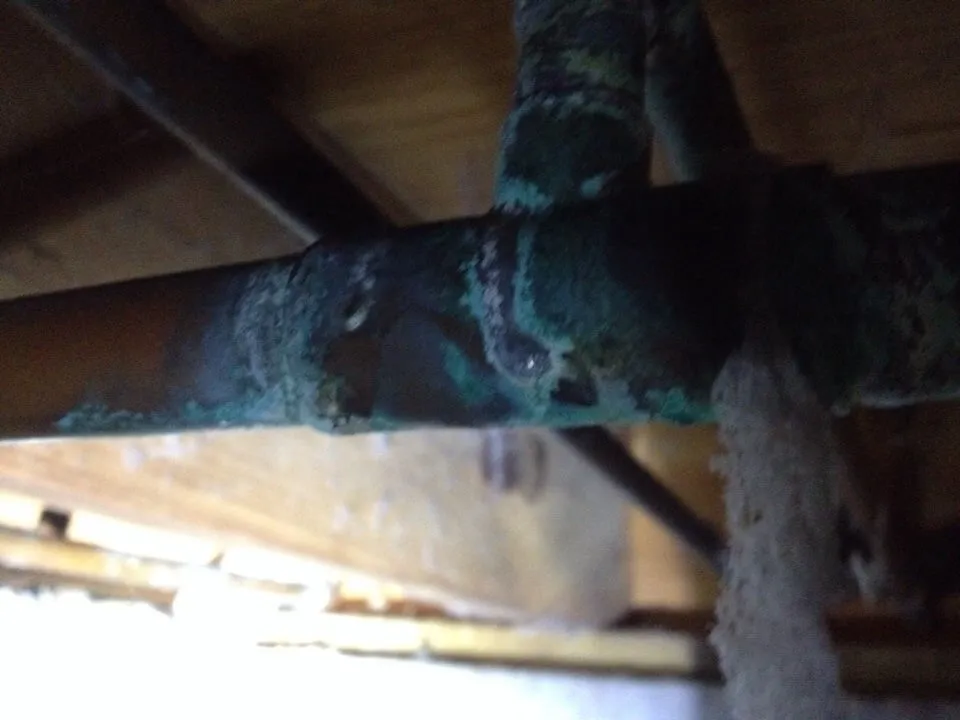 Slide of Tip-Top Plumbing