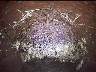 Slide of Titan Sewer & Drain