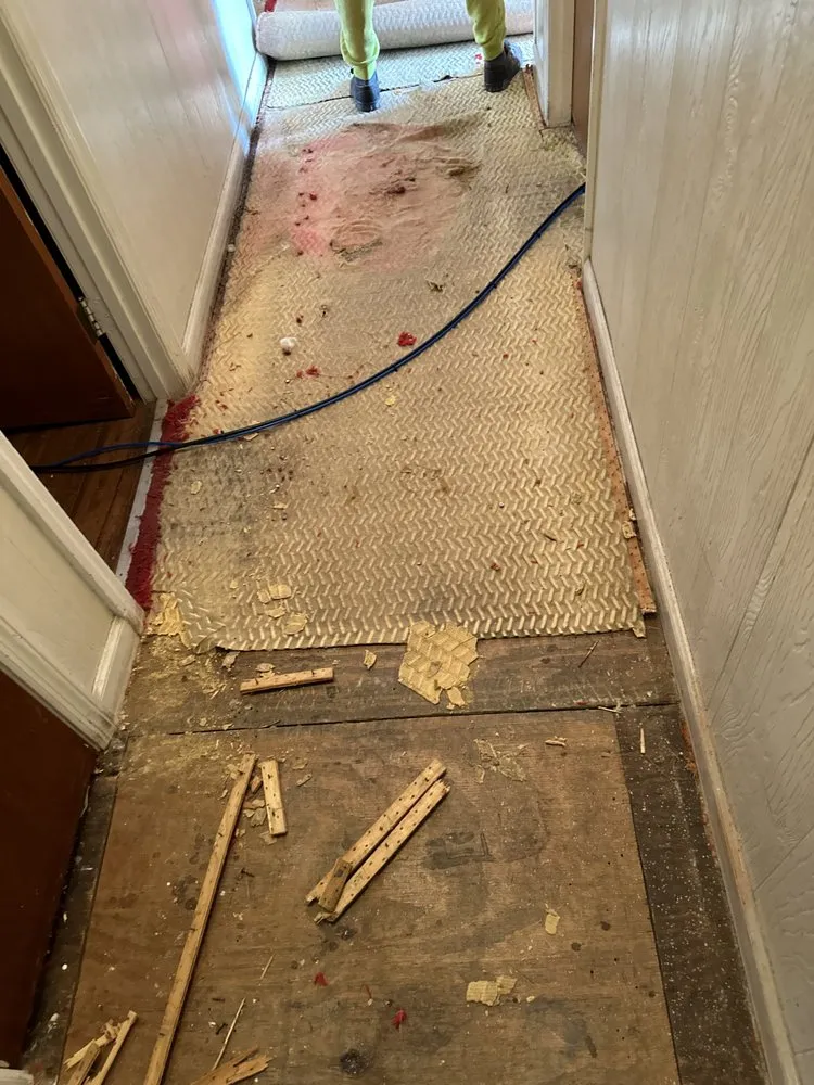 Slide of Tito The Handyman