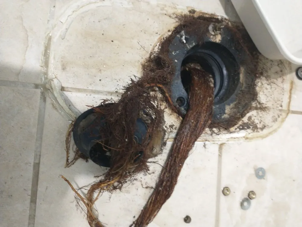 Slide of Tito's Plumbing