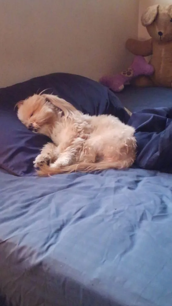 Slide of TJ Robb - Yolorepairmaster