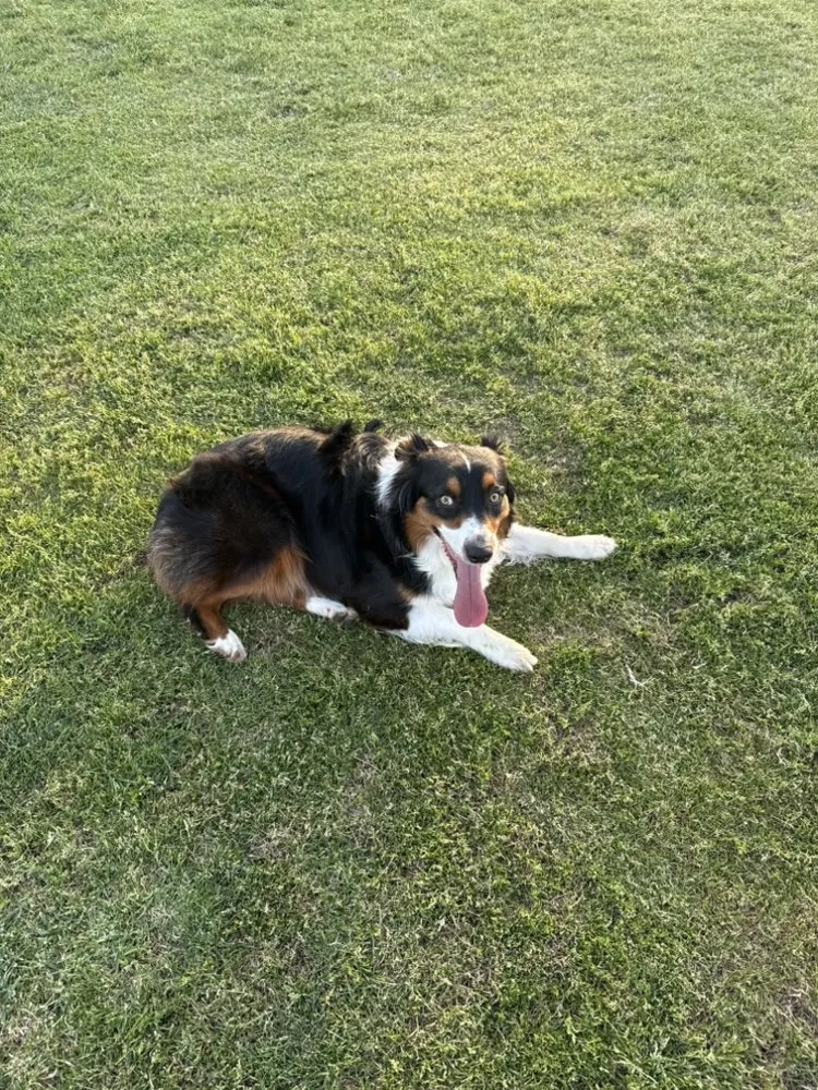 Slide of TK Plumbing