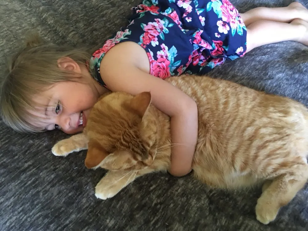 Slide of TK Plumbing