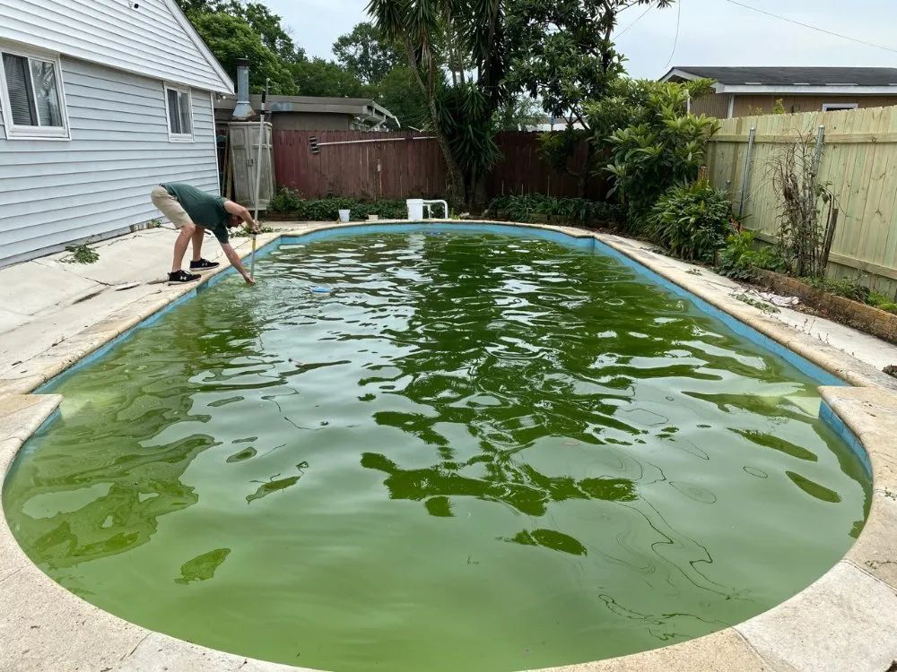 Slide of TK Pool Services