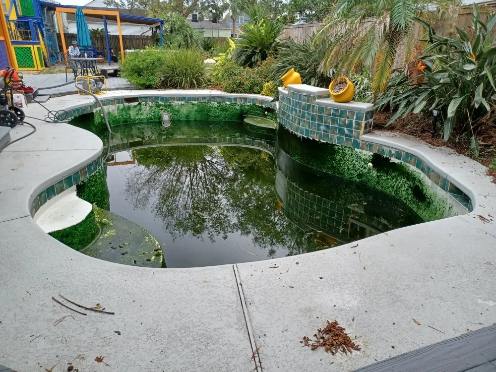 Slide of TK Pool Services