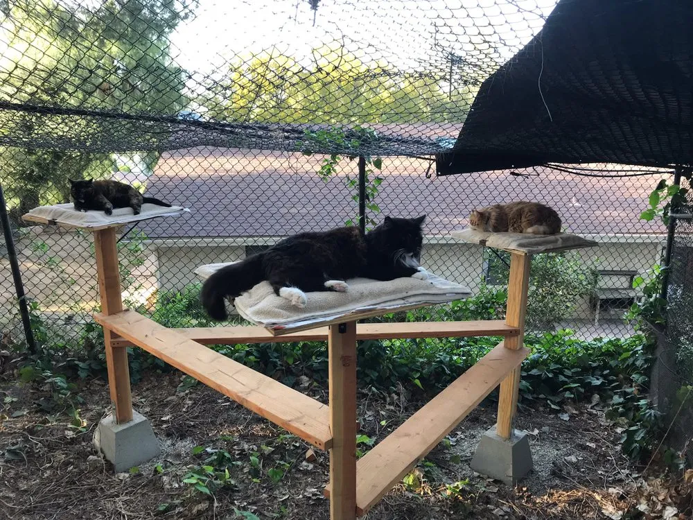 Slide of TLC Handyman