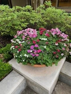 Slide of TLP Irrigation Services