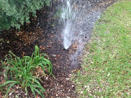 TLP Irrigation Services Logo