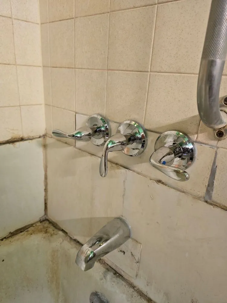 Slide of TLS Plumbing