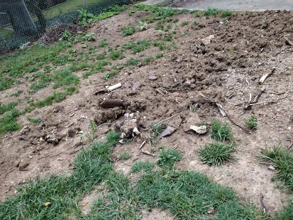 Slide of T&M Plumbing