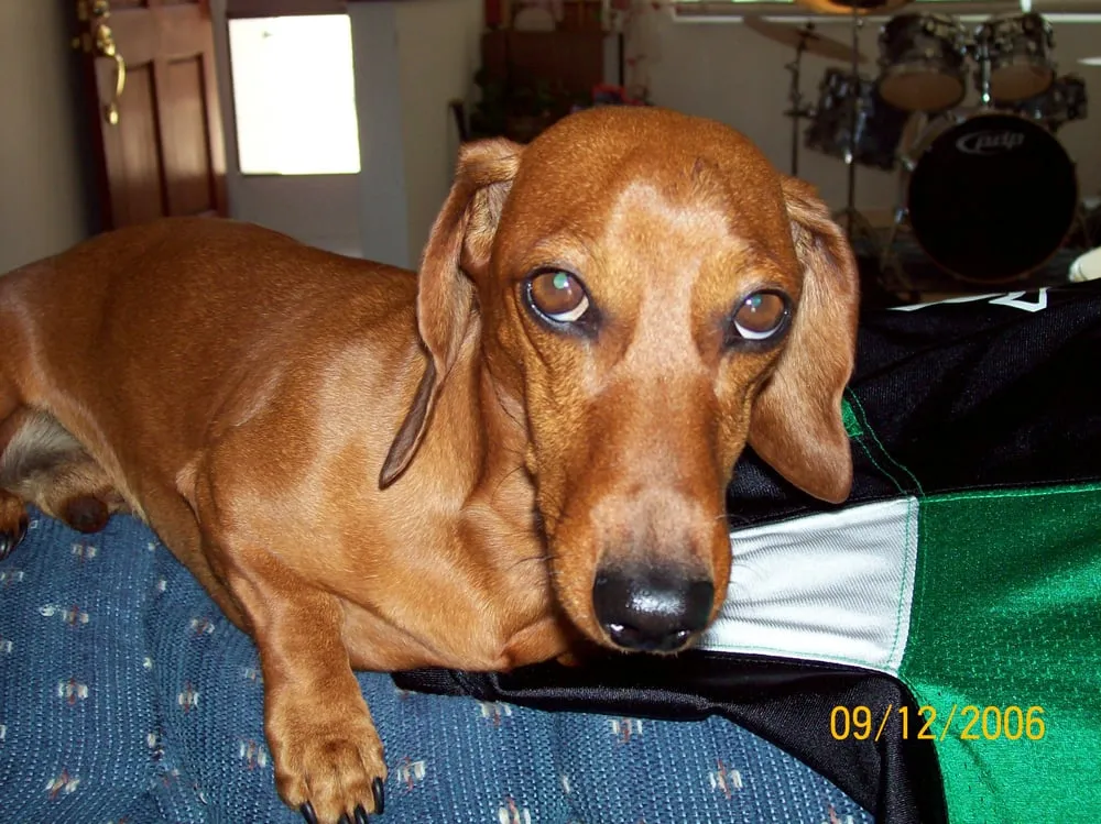 Slide of TMC Plumbing