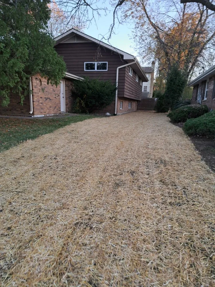 Slide of TMS Underground