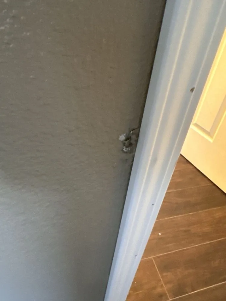 Slide of TNT N Minutes