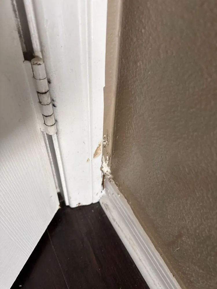 Slide of TNT N Minutes