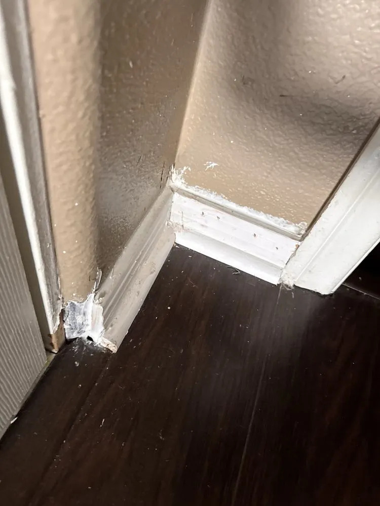 Slide of TNT N Minutes